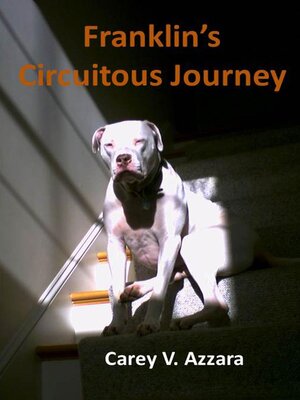 cover image of Franklin's Circuitous Journey
